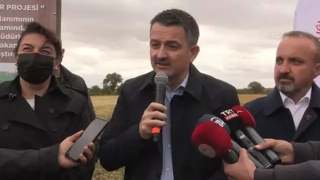 Son dakika! ÇANAKKALE - Tarım ve Orman Bakanı Pakdemirli, Çanakkale'de damla sulamayla ekilen çeltiğin hasadına katıldı Açıklaması