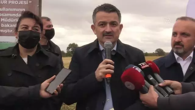 Son dakika! ÇANAKKALE - Tarım ve Orman Bakanı Pakdemirli, Çanakkale'de damla sulamayla ekilen çeltiğin hasadına katıldı Açıklaması