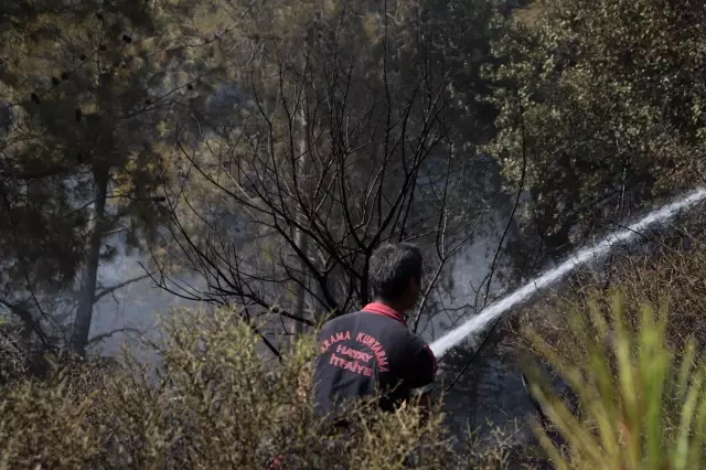 Son dakika haberi: Ormanlık alanda başlayıp zeytin bahçesine sıçrayan yangın söndürüldü