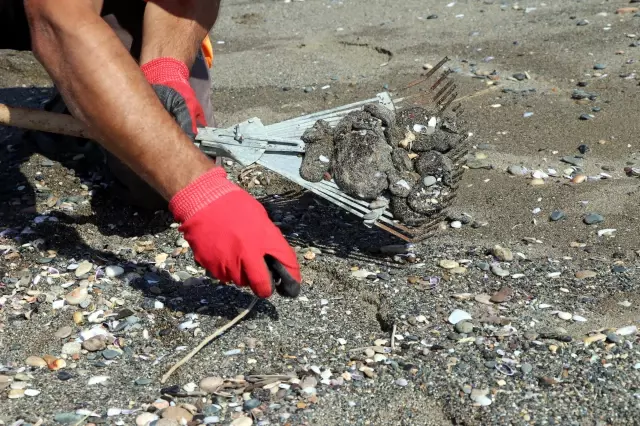 Hatay sahillerinde Suriye kaynaklı petrol sızıntısının temizlik çalışmaları sürüyor