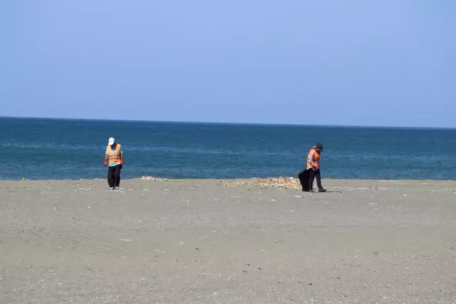 Hatay sahillerinde Suriye kaynaklı petrol sızıntısının temizlik çalışmaları sürüyor