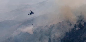 KKTC'deki orman yangını kontrol altına alındı