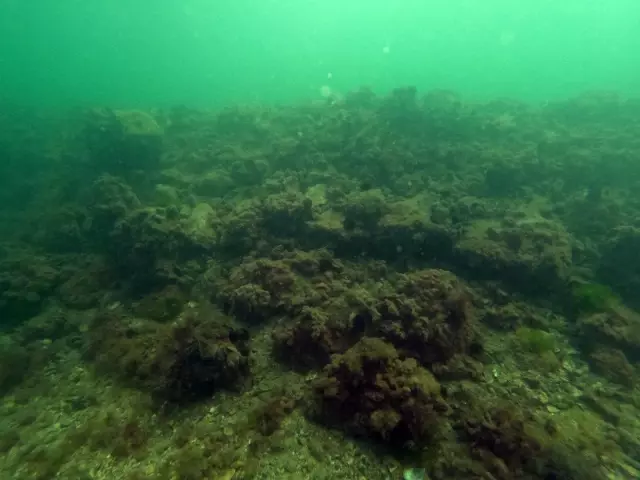 Marmara Denizi'nde mimari blok yüklü gemi batığı keşfedildi (1)