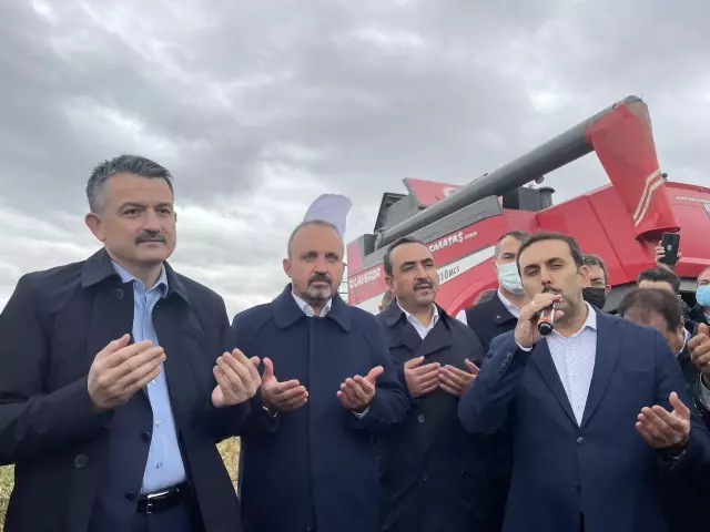 Son dakika! ÇANAKKALE - Tarım ve Orman Bakanı Pakdemirli, Çanakkale'de damla sulamayla ekilen çeltiğin hasadına katıldı Açıklaması
