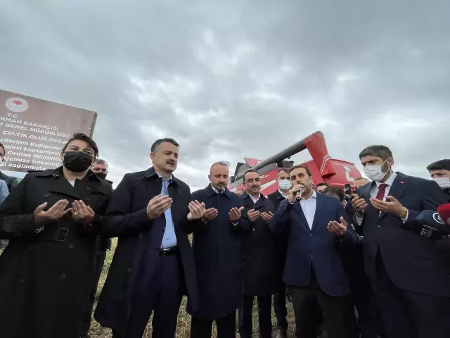 Son dakika! ÇANAKKALE - Tarım ve Orman Bakanı Pakdemirli, Çanakkale'de damla sulamayla ekilen çeltiğin hasadına katıldı Açıklaması