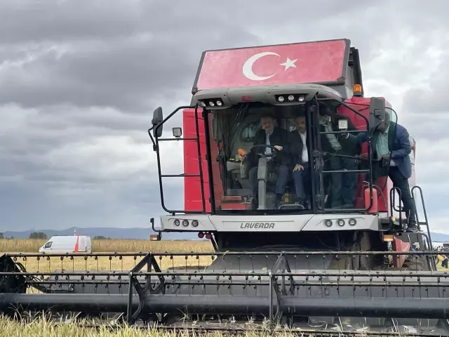 Son dakika! ÇANAKKALE - Tarım ve Orman Bakanı Pakdemirli, Çanakkale'de damla sulamayla ekilen çeltiğin hasadına katıldı Açıklaması