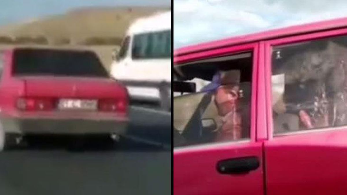 Seyir halindeki otomobilin arka koltuğunda oturan buzağı görenleri şok etti