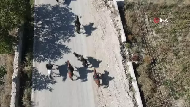 Frig Vadisi'ni bu sefer de atlı grup gezdi