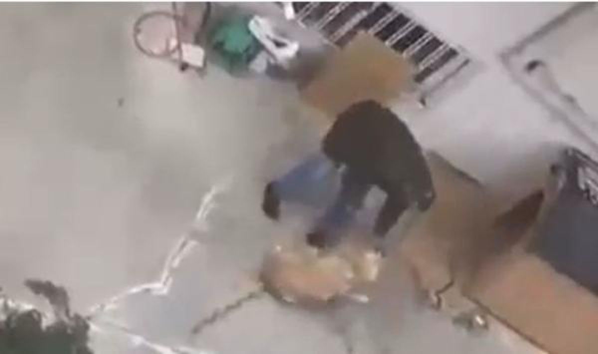 KÖPEĞİNE ŞİDDET UYGULAYAN EMEKLİ RADYOLOJİ UZMANI İFADESİNİN ARDINDAN SERBEST BIRAKILDI