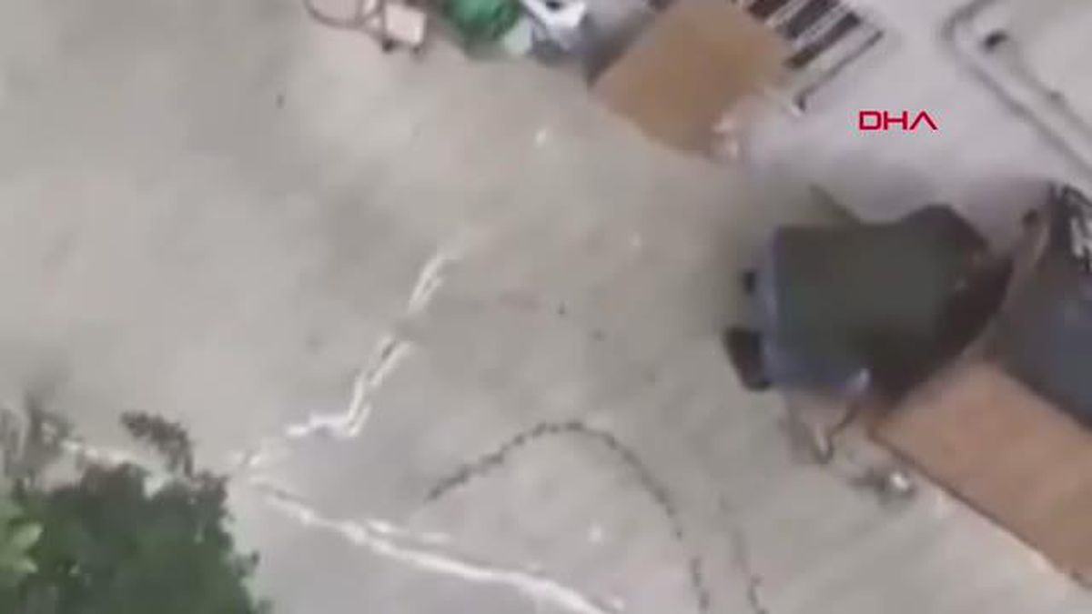 MALTEPE'DE KÖPEĞİNE ŞİDDET UYGULAYAN EMEKLİ RADYOLOJİ UZMANI GÖZALTINA ALINDI