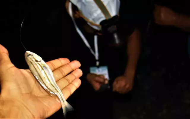 Olta balıkçılığı tutkunları 12 saatlik turnuvada ter döktü