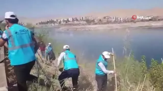 Şırnak'ta DEDAŞ personelleri Dicle Nehri çevresini temizledi