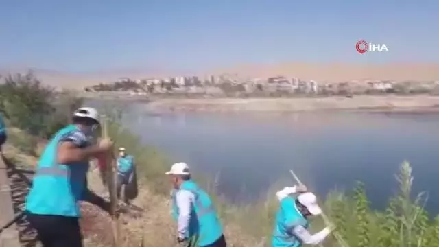 Şırnak'ta DEDAŞ personelleri Dicle Nehri çevresini temizledi