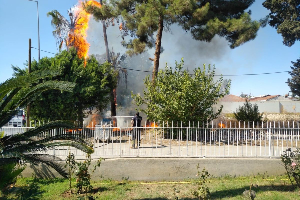 Son dakika haber! Adana'da ağaçlık alanda çıkan yangın söndürüldü