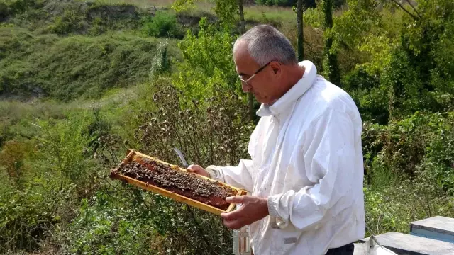 'Arı Gibi Çalışan Kadınlar' Zonguldak'a katkı sağlayacak