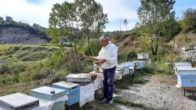 'Arı Gibi Çalışan Kadınlar' Zonguldak'a katkı sağlayacak