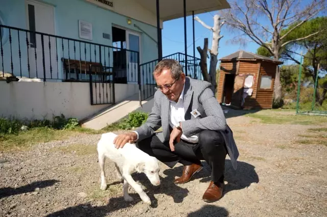 Başkan Ergin, Satın alma sahiplen