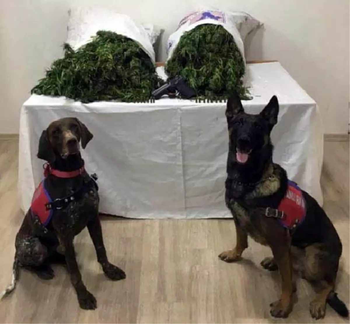 Denizli'de 18 kilo 840 gram esrar ele geçirildi