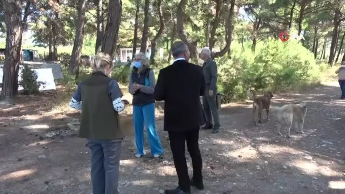 Dünya Hayvanları Koruma Günü'nde sokak köpeklerini beslediler