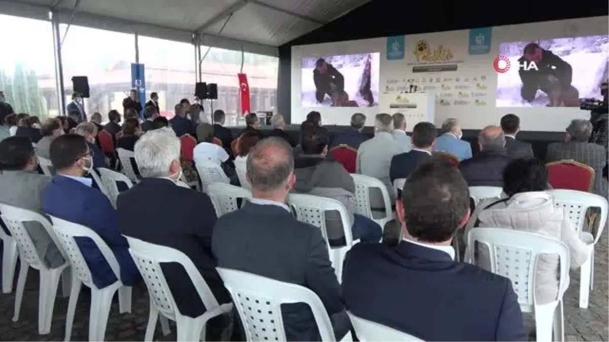 felcli sokak hayvanlari bu merkez ile ozgurlu 14437963 amp