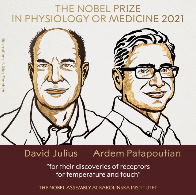 Son Dakika: Nobel Tıp Ödülü'nün sahipleri David Julius ve Ardem Patapoutian oldu