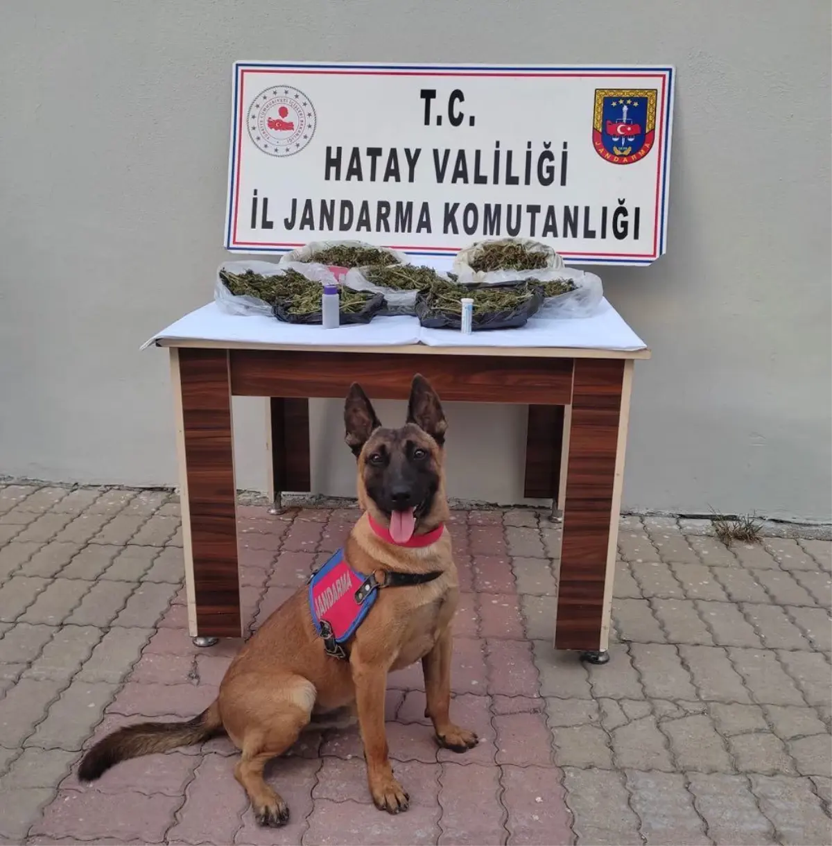 Son dakika haberi | Hatay'da uyuşturucu operasyonunda yakalanan şüpheli tutuklandı