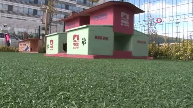 Hayvanları Koruma Günü'nde Pendik'te PatiFest düzenlendi