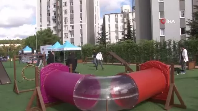 Hayvanları Koruma Günü'nde Pendik'te PatiFest düzenlendi