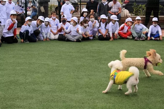 Hayvanları Koruma Günü'nde Pendik'te PatiFest düzenlendi