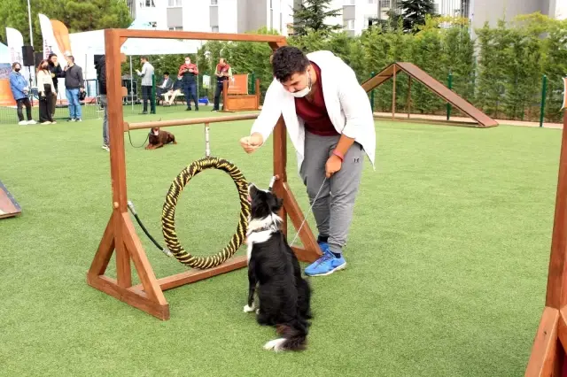 Hayvanları Koruma Günü'nde Pendik'te PatiFest düzenlendi