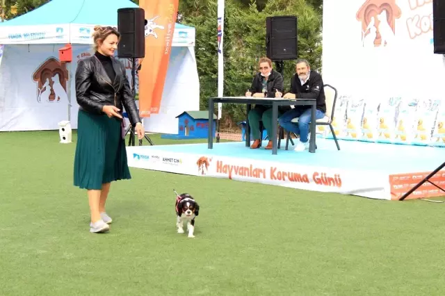 Hayvanları Koruma Günü'nde Pendik'te PatiFest düzenlendi