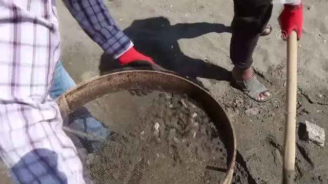 Suriye kaynaklı petrol sızıntısı temizliği sürüyor