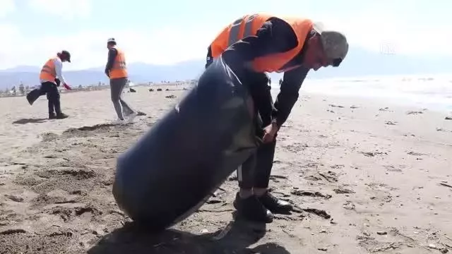 Suriye kaynaklı petrol sızıntısı temizliği sürüyor
