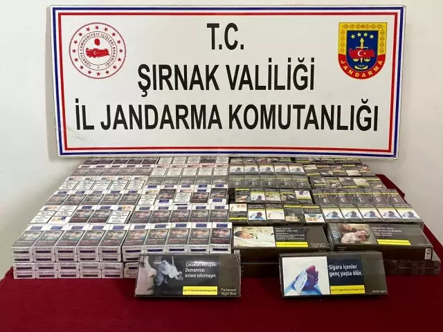 Terörün finansçılarına darbe: 84 gözaltı