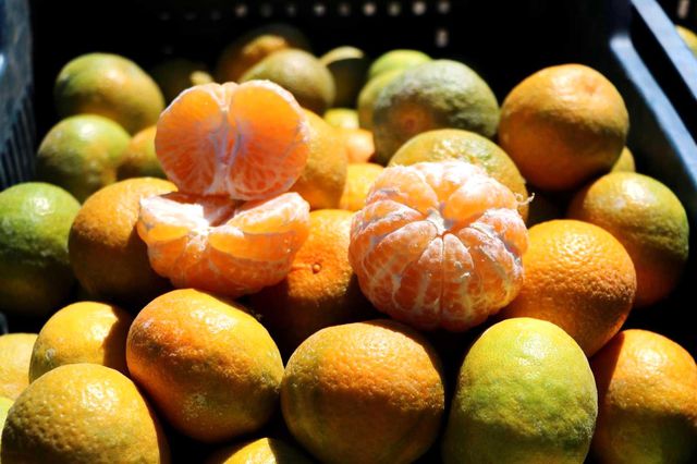 adana da mandalina hasadi suruyor fiyati 1 liraya dustu haberler ekonomi