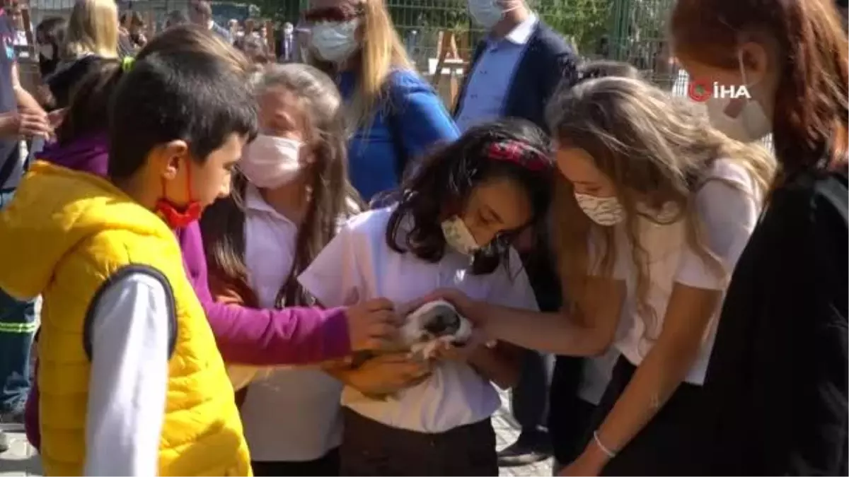 'Hayvan Sevgisi' konulu resim yarışmasında ödüller sahiplerini buldu