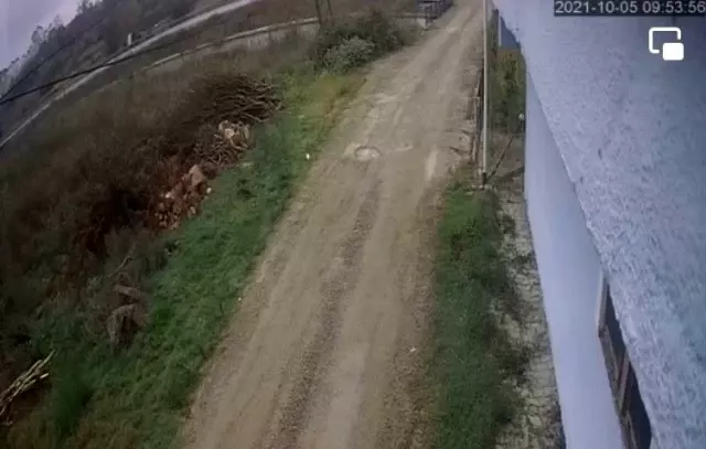 Meşrubat yüklü kamyonetin devrilme anı kamerada