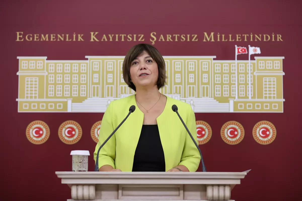 HDP Grup Başkanvekili Beştaş, gündemi değerlendirdi Açıklaması