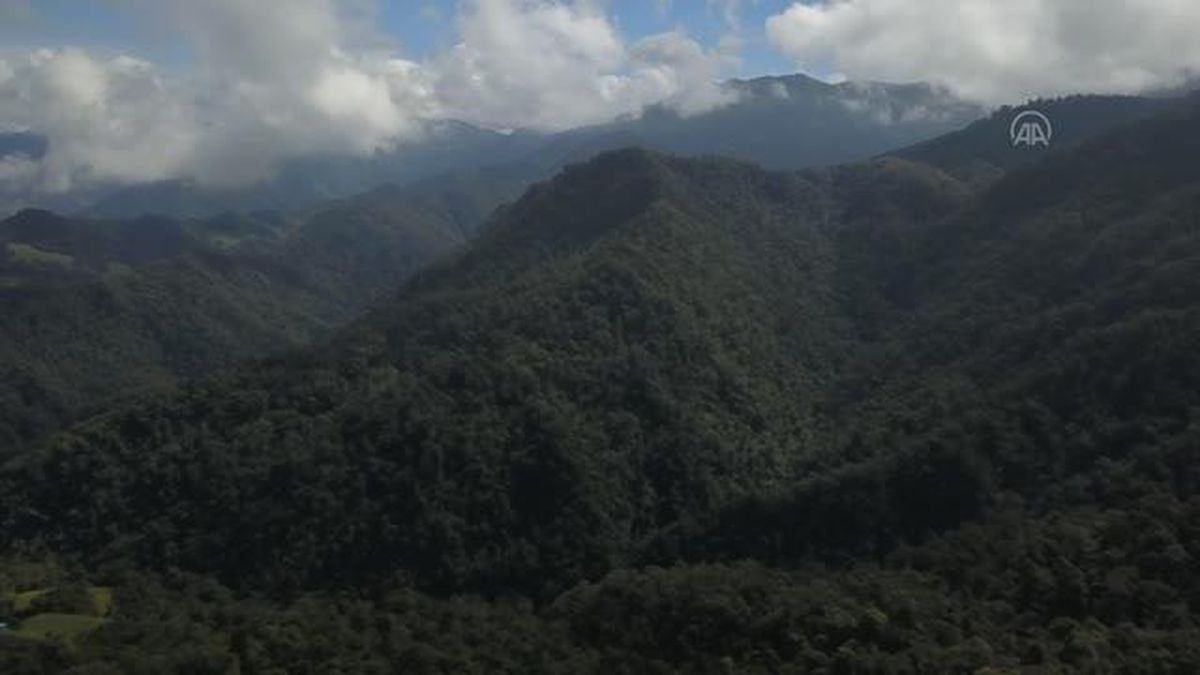 Kolombiya'nın kahve bölgesi Manizales, doğası ve tarihi yerleriyle ziyaretçilerini etkiliyor