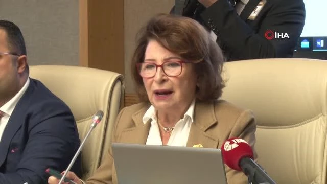 Psikiyatrist Gülseren Budayıcıoğlu 'Kadına Şiddet Komitesi'nde milletvekillerine bilgi verdi