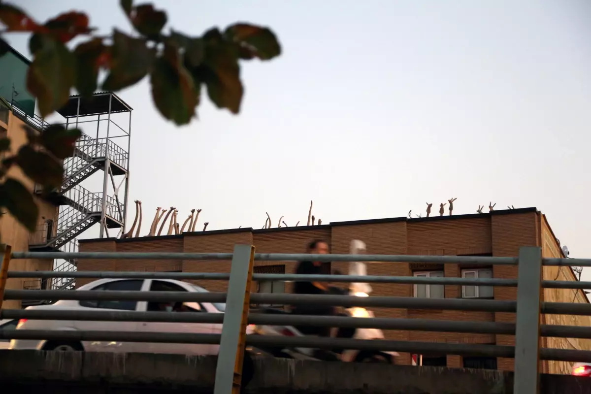 İran'da kapıcılık yapan Afgan göçmen, topladığı çöpleri sanat eserine dönüştürüyor