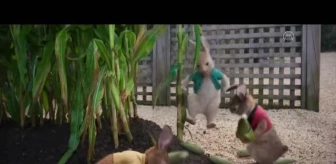 Sinema - Peter Rabbit: Kaçak Tavşan