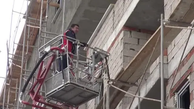 Bozayılar yiyecek bulmak için yerleşim yerlerine iniyor