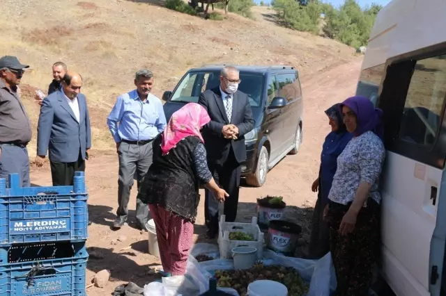 KAHRAMANMARAŞ - Üzümün pekmeze yolculuğu başladı