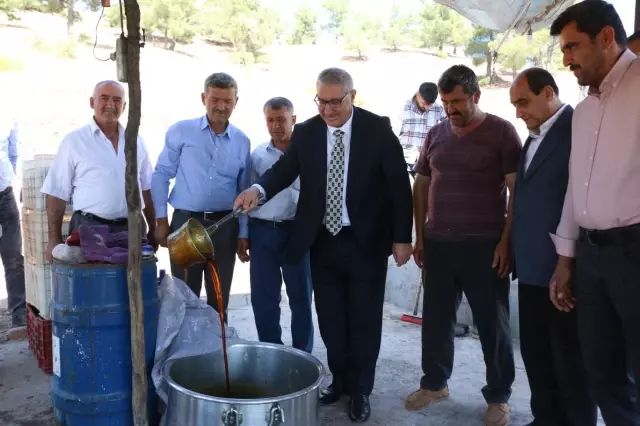 KAHRAMANMARAŞ - Üzümün pekmeze yolculuğu başladı