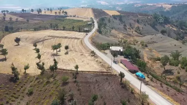 KAHRAMANMARAŞ - Üzümün pekmeze yolculuğu başladı