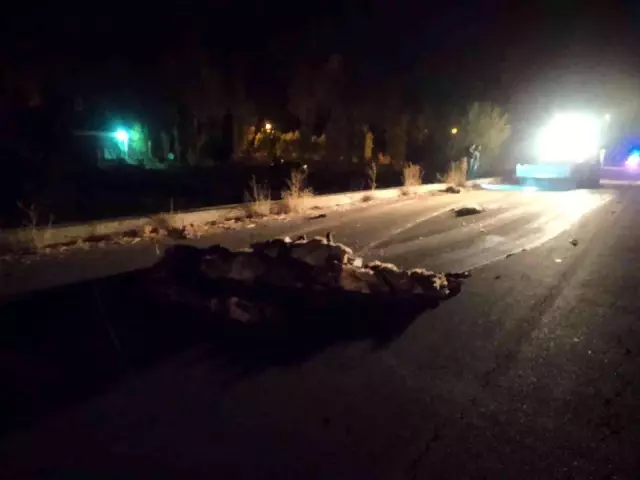 Kamyonet sürüye çarptı: 32 koyun telef oldu