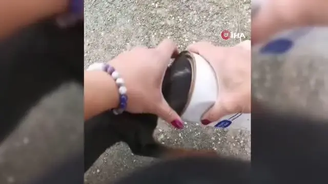 Karabük'te hayvanlara yardım eli...Yavru köpek ve Karaca'yı böyle kurtardılar