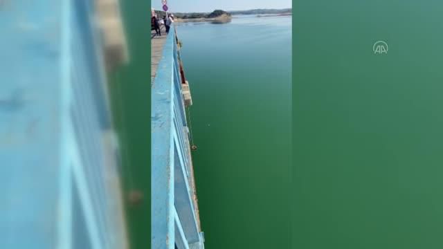 Köprüden göle düşen kadın balıkçı teknesiyle kurtarıldı - Haberler