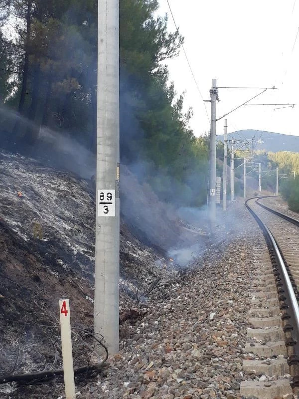 Son dakika haberi: Kütahya'da orman yangını; 4 farklı noktada alevler büyüyor (2)